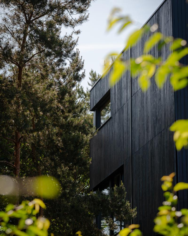 The Building
