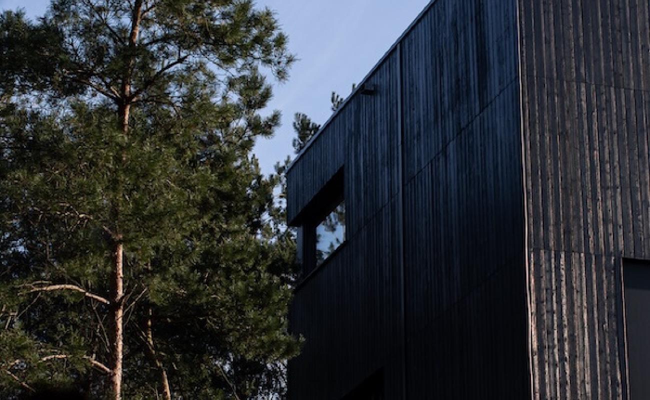 The Building