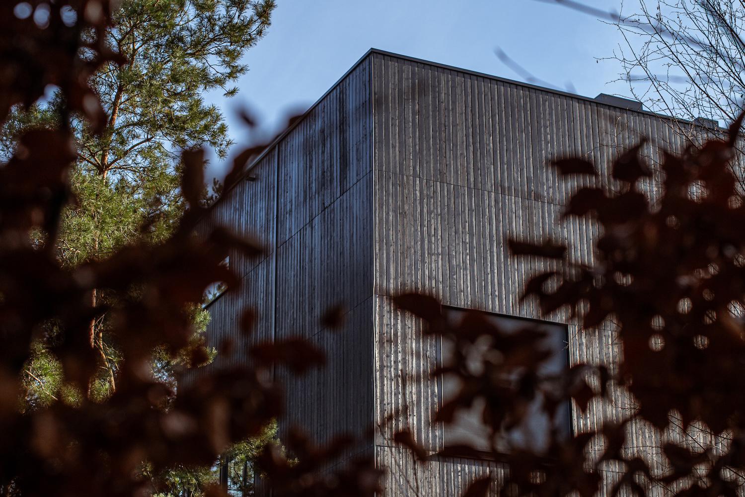 The Building